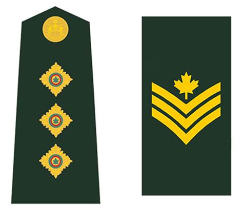 Grades et insignes de l'Armée canadienne - Canada.ca