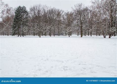 Winter and snow in Berlin stock image. Image of budapest - 114740057