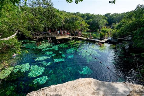 13 Best Cenotes near Playa Del Carmen (2025) | The Whole World Is A ...