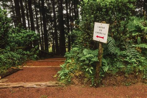 Hiking in the Azores: The Best Trails on Sao Miguel