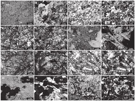 Skarn-type minerals of the prograde anhydrous stage. Source: The ...