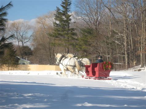 Cedar Knoll Farm: Got Snow? Take the Sleigh!