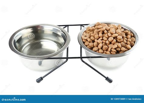 Cat Food and Water in Bowls Stock Image - Image of beverage, dish ...