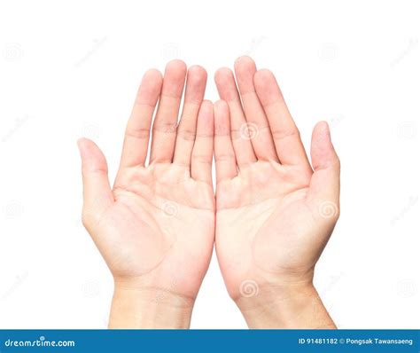 XMan Empty Hands Open on White Background Stock Photo - Image of background, showing: 91481182