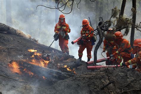 Dryness, sudden winds factors in deadly China forest fire