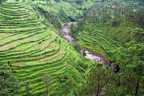 Terrace Farming India - Kottemann Photography