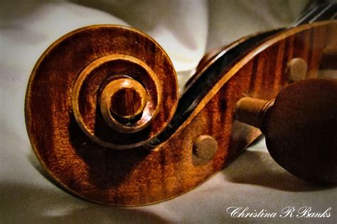 Violin Scroll | Violin scroll, Violin, Fancy