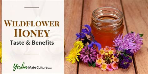 Raw Wildflower Honey - Amazing Benefits and Taste!