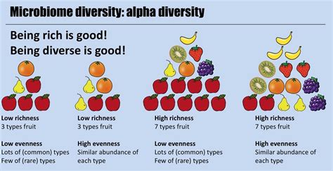 Inside Focus 2023 Increased Diversity Simplified Growth - Tabitomo