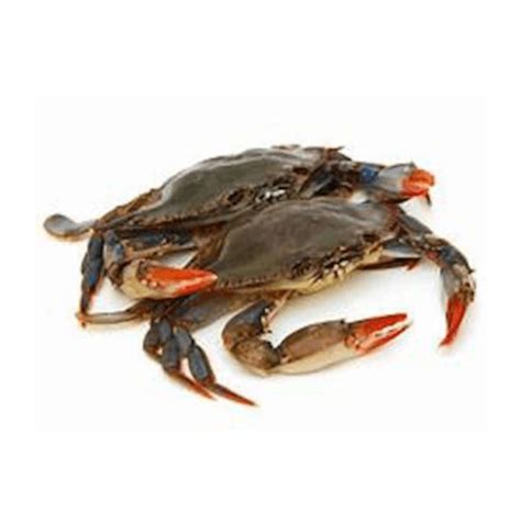 Maryland Soft Shell Crabs l Soft Shell Crab Near Me | 6 pc