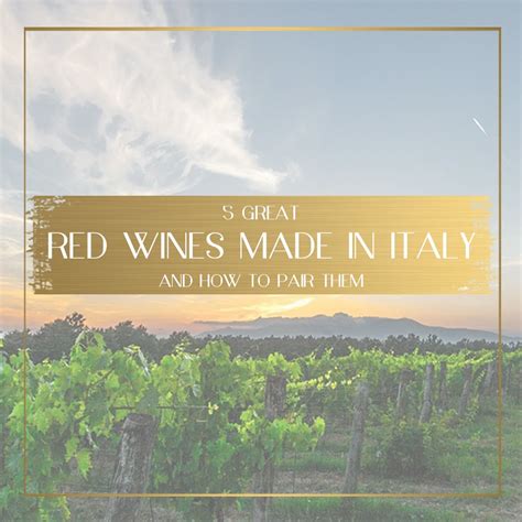 5 Great Red Wines Made in Italy and How to Pair Them - Once In A ...