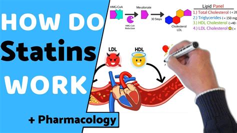 How do Statins Work? (+ Pharmacology) - YouTube