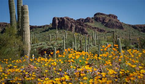 Explore Pinal County! | Arizona Highways