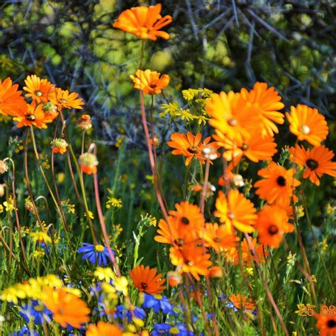 SPRINGBOK PARK NATIONAL MONUMENT (2025) All You Need to Know BEFORE You ...