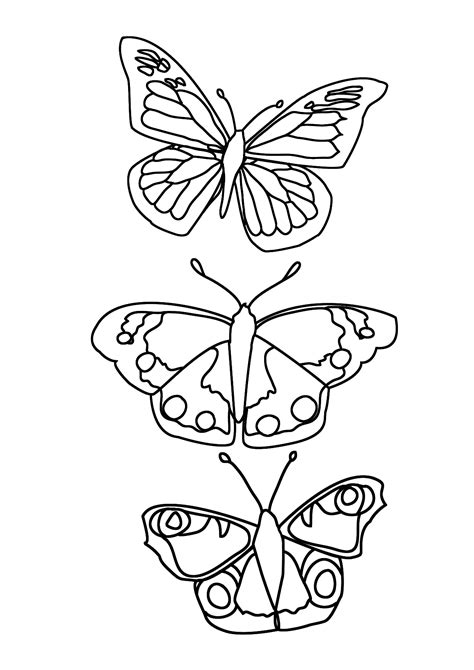 Butterfly Coloring Pages