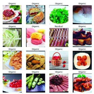 Example of organic waste and residual waste. | Download Scientific Diagram