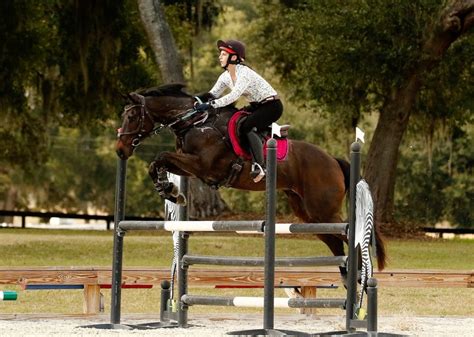 Majestic Oaks Ocala | Our Farm, Your Fun | Florida