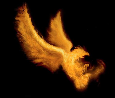 Fire Bird by -asi