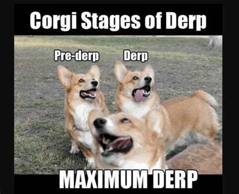 31 Funniest Corgi Jokes: Puns, Memes & More