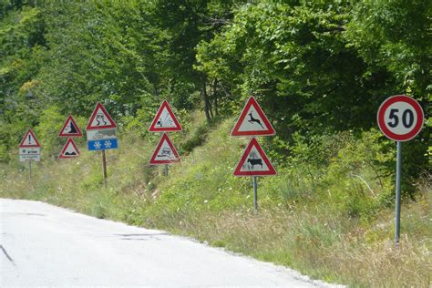 British motorists baffled by European road signs | Motoring Research