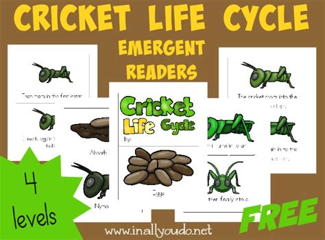 FREE Cricket Life Cycle Emergent Readers - Blessed Beyond A Doubt