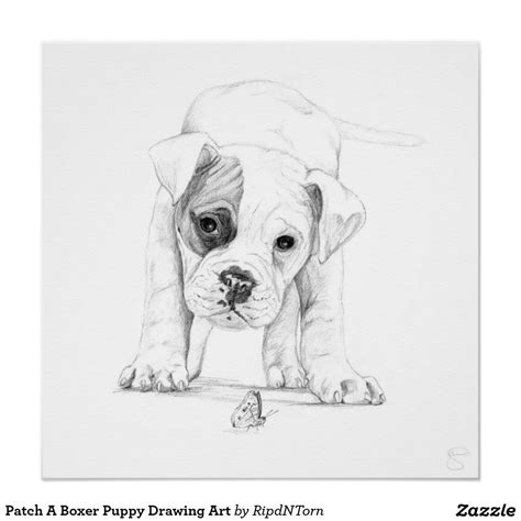 Patch A Boxer Puppy Drawing Art Poster | Zazzle.com in 2022 | Puppy drawing, Puppy art, Animal ...