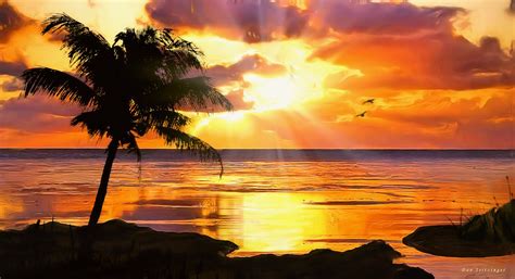 🔥 [41+] Free Sunset Tropical Island Wallpapers | WallpaperSafari