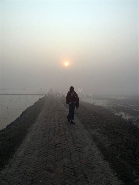 A Stunning Sunrise Looking Over the Holiest of Rivers in India. Ganges Delta in Sundarbans ...