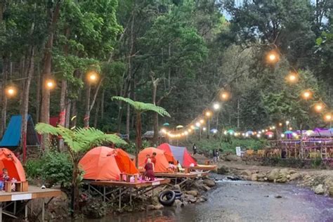 Nikmati Legitnya Durian Lokal Jember di Kampung Durian, Asyik Menghabiskan Akhir Pekan Bersama ...