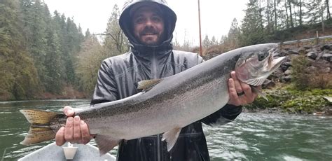 Kalama River - Fish Reports & Map