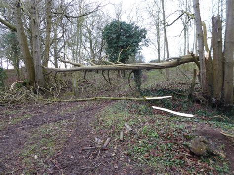 A natural barrier © Philip Halling :: Geograph Britain and Ireland