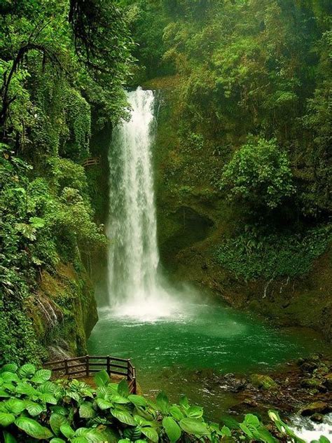 La Paz Waterfall, hidden in the rain forest of Costa Rica | Waterfall ...