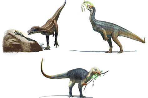 Scientists discovered what the earliest dinosaurs like to eat