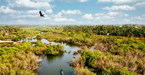 Exploring Congo's Natural Wonders - Green Congo