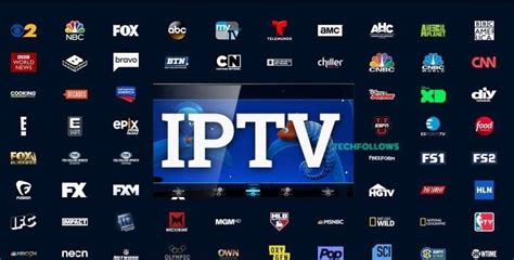 Iptv Service 2025 - Darice Magdalen