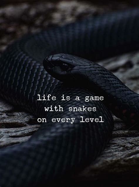 Life is a game with snakes on every level.. | Snake quotes, Positive ...