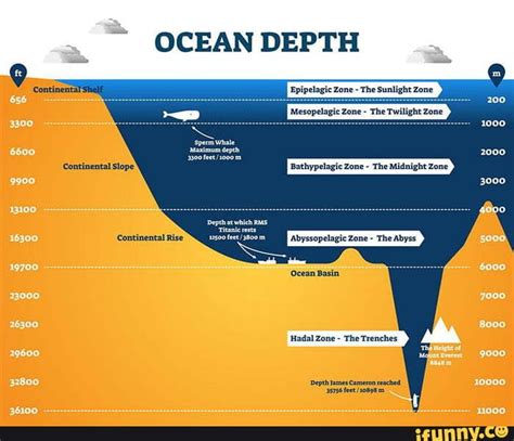 OCEAN DEPTH Epipelagic Zone - The Sunlight Zone 'Mesopelagic Zone - The Twilight Zone ...