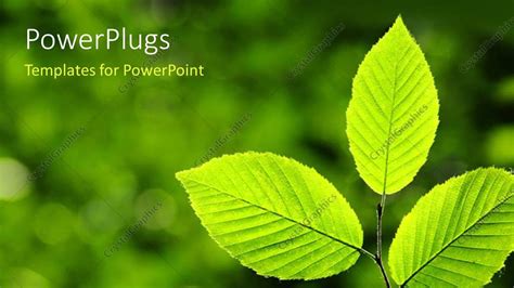 PowerPoint Template: Green leaves over abstract background depicting ...