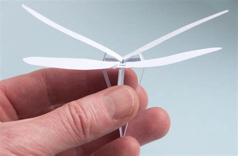 Dragonfly wing mechanism | Rob Ives