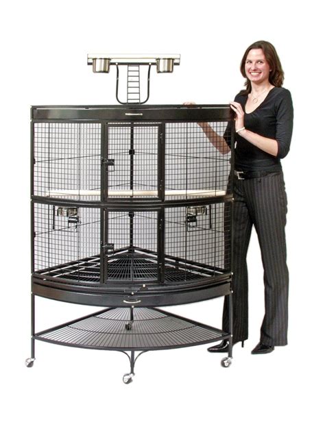 african grey parrot cages | Parrot cage, Large bird cages, Bird cage