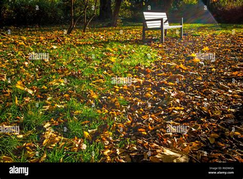 Park Bench In Autumn Stock Photo - Alamy