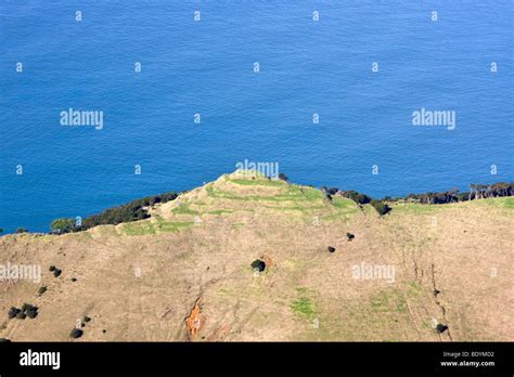 Maori pa hi-res stock photography and images - Alamy