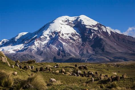 Ecuador's Avenue of the Volcanoes: Quito to Guayaquil - 9 Days | kimkim