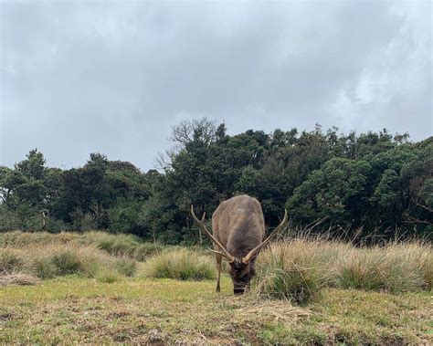 Horton Plains National Park | Wonders of Ceylon