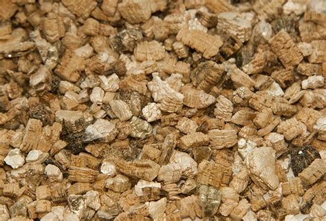 What is Vermiculite? What is it used for? | Trees.com