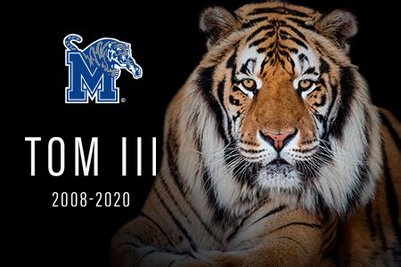 TOM III - University of Memphis Media Room - The University of Memphis