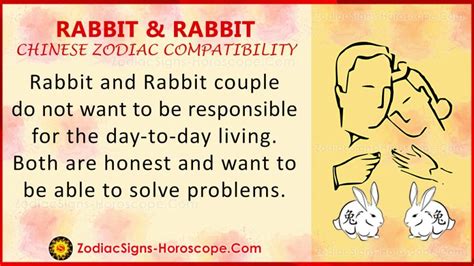 Rabbit and Rabbit Chinese Zodiac Compatibility: Love and Relationship