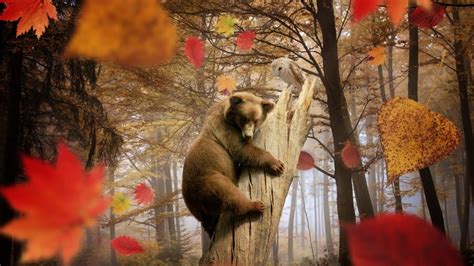 Animals Autumn Wallpapers - Top Free Animals Autumn Backgrounds - WallpaperAccess