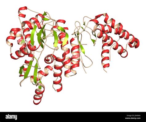 Calcitonin gene related peptide receptor hi-res stock photography and images - Alamy