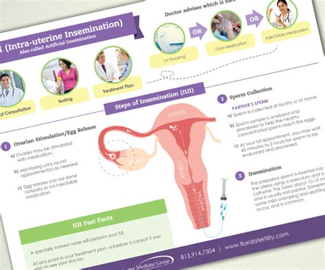 Reproductive Medicine Group - SarahK8Design Creative Solutions